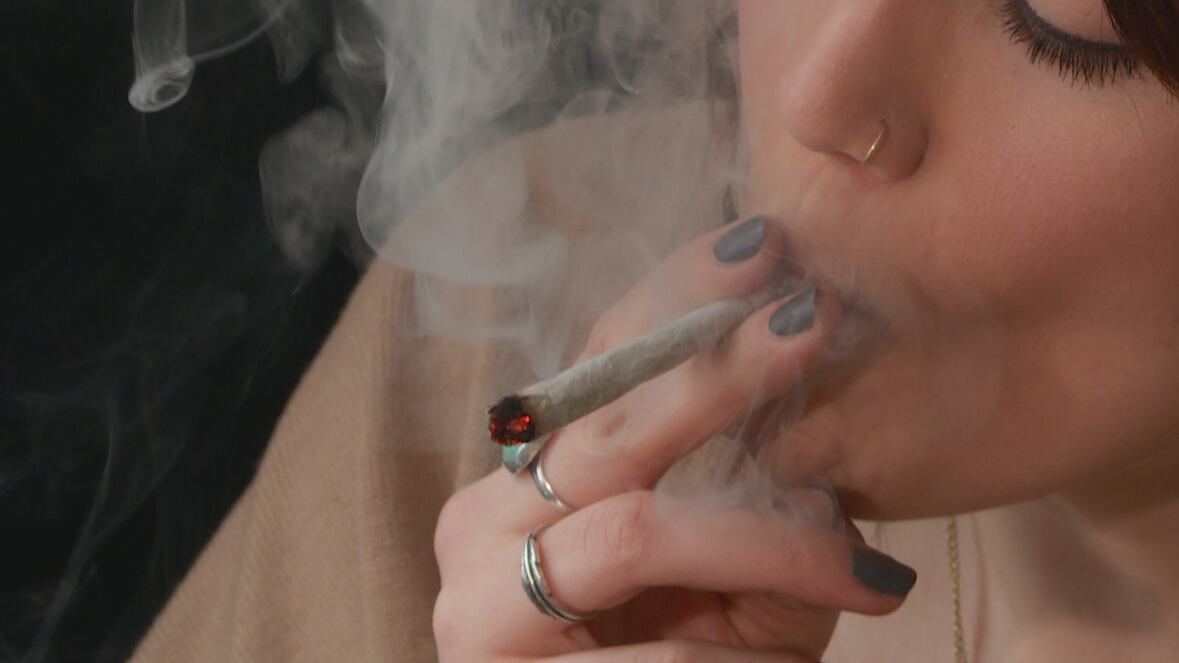 Cannabis plants — rising THC concentration linked to higher CHS rates